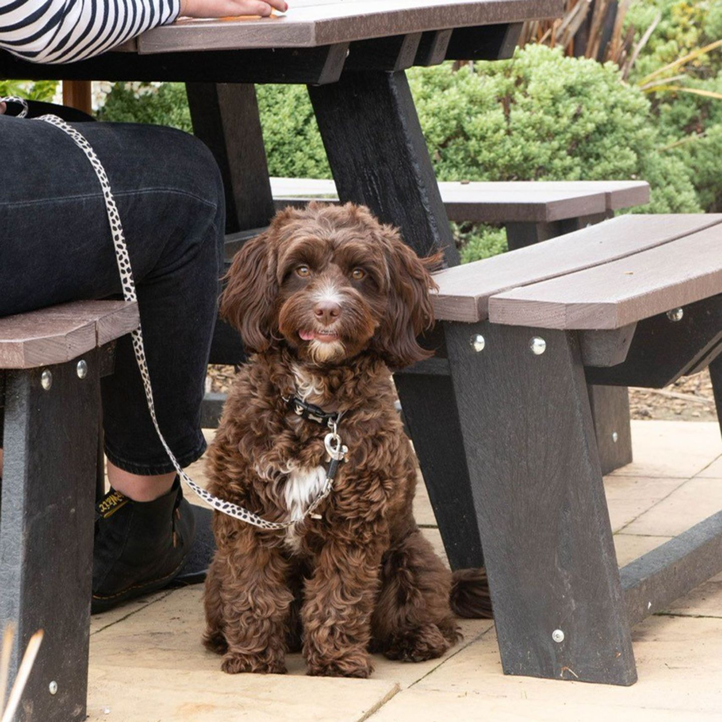 Your local dog friendly pub in Fleetwood